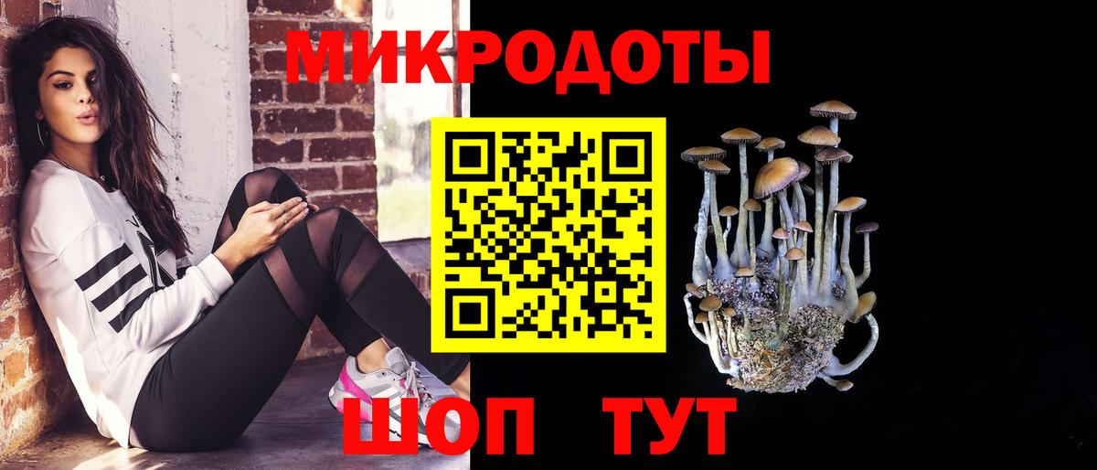 Псилоцибиновые грибы Psilocybine cubensis Бор